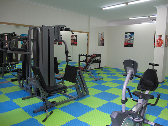 室内健身器材,单位健身器材,健身器材十大品牌-广西米兰·(milan)中国健身器材有限公司